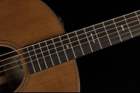 Taylor Builder's Edition 717e - WHB