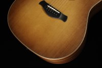 Taylor Builder's Edition 717e - WHB