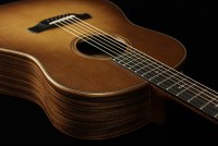 Taylor Builder's Edition 717e - WHB