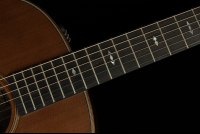 Taylor Builder's Edition 717e - WHB