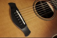 Taylor Builder's Edition 717e - WHB