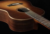 Taylor Builder's Edition 717e - WHB