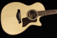 Taylor Builder's Edition 814ce