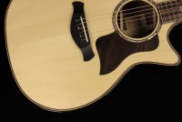 Taylor Builder's Edition 814ce