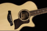 Taylor Builder's Edition 814ce