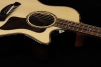 Taylor Builder's Edition 814ce