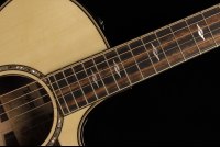 Taylor Builder's Edition 814ce