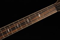 Taylor Builder's Edition 814ce