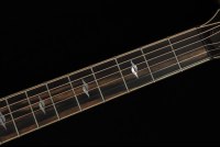 Taylor Builder's Edition 814ce