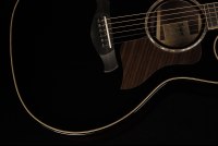 Taylor Builder's Edition 814ce Blacktop