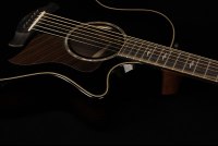 Taylor Builder's Edition 814ce Blacktop