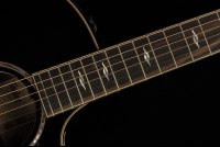 Taylor Builder's Edition 814ce Blacktop
