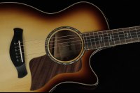 Taylor Builder's Edition 814ce Honduran Rosewood / Adirondack