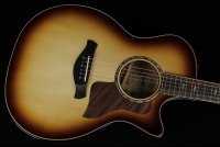 Taylor Builder's Edition 814ce Honduran Rosewood / Adirondack