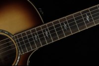 Taylor Builder's Edition 814ce Honduran Rosewood / Adirondack