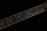 Taylor Builder's Edition 814ce Honduran Rosewood / Adirondack