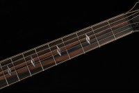 Taylor Builder's Edition 814ce Honduran Rosewood / Adirondack