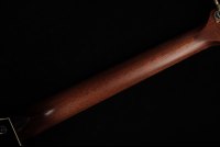 Taylor Builder's Edition 814ce Honduran Rosewood / Adirondack