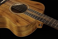 Taylor GS Mini-e Koa