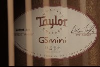 Taylor GS Mini-e Koa