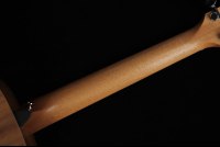 Taylor GS Mini-e Koa