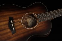 Taylor GS Mini-e Koa Plus