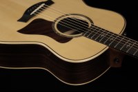 Taylor GT 811e
