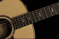 Taylor GT 811e