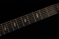 Taylor GT 811e
