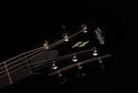 Taylor GT 811e