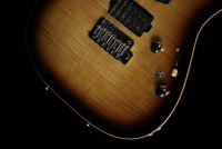 Tom Anderson Cobra S - GSD