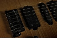 Tom Anderson Cobra S - GSD