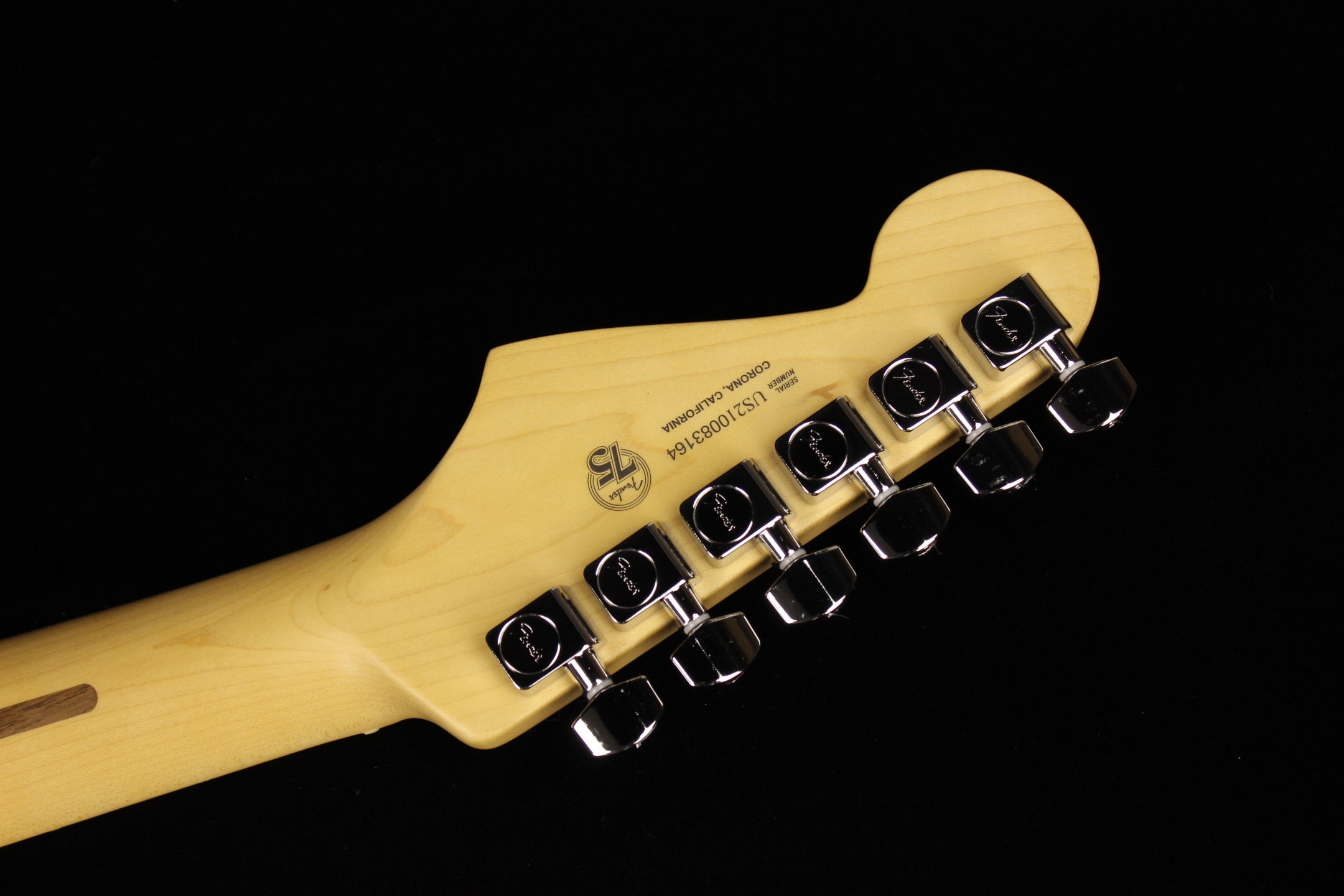 Fender American Professional II Stratocaster Dark Night (SN