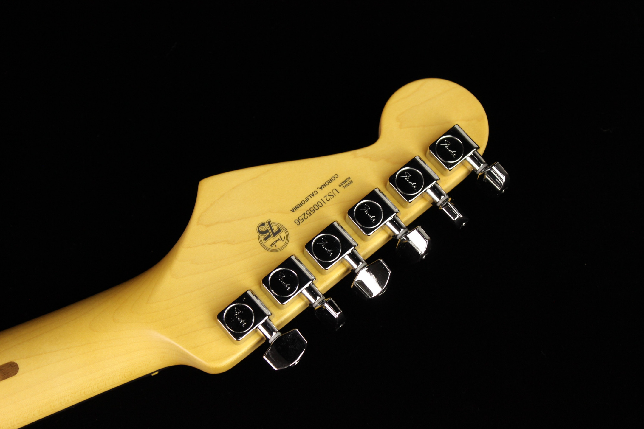 Fender American Professional II Stratocaster Dark Night (SN