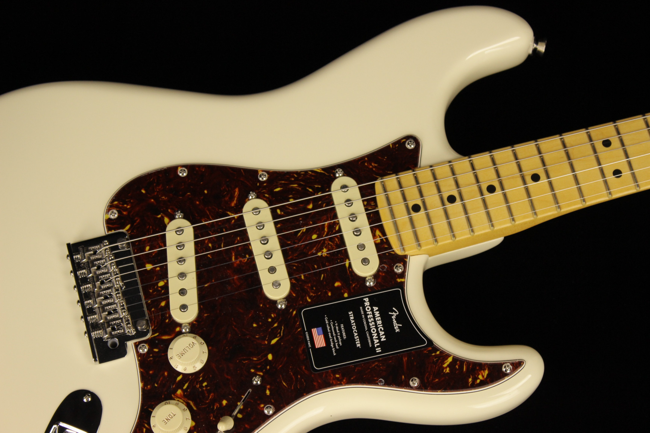 Fender USA American Professional II 極美品 Fender USA Limited Edition American Professional II