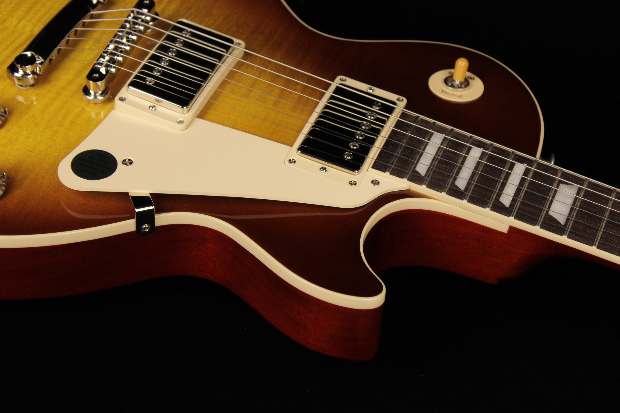 【美品】Gibson USA/Les Paul Standard 60s Gibson A Whole Lotta Les!
