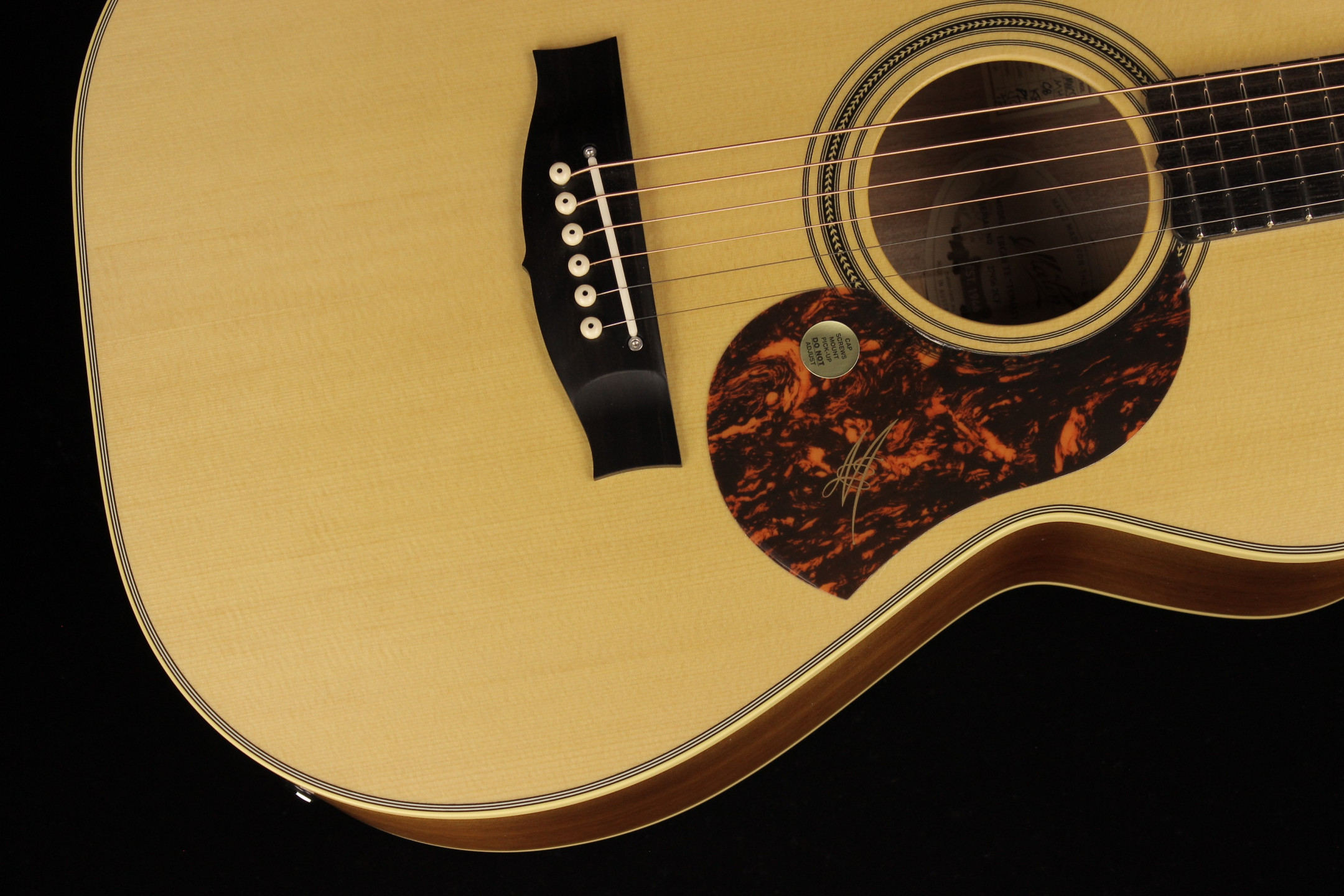 Maton clearance ebg808te price