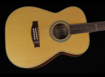 Maton Master Built T.E. Personal