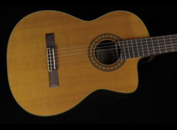 Takamine EC132SC