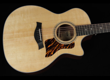 Taylor 354ce
