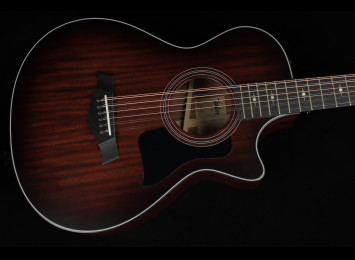 Taylor 362ce 12-Fret 12-Strings