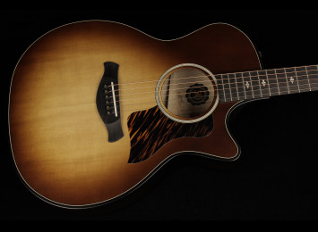 Taylor 50th Anniversary Builder's Edition 314ce - KB