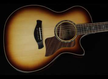 Taylor Builder's Edition 814ce Honduran Rosewood / Adirondack