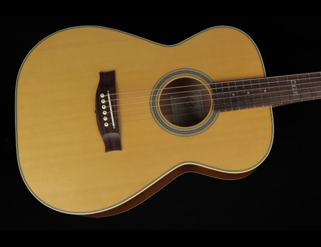 Maton Master Built T.E. Personal