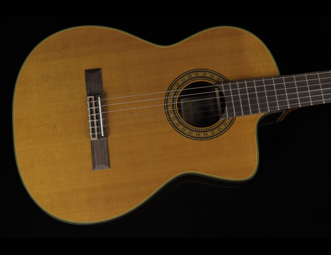 Takamine EC132SC