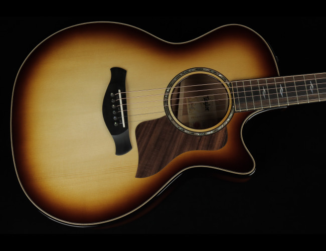 Taylor Builder's Edition 814ce Honduran Rosewood / Adirondack